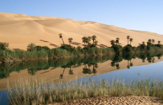 Part of the Sahara was hit by floods