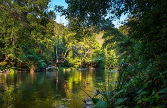 The five largest rainforests in the world