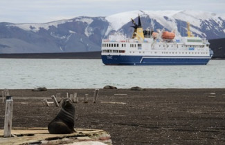 Green areas in Antarctica are increasing